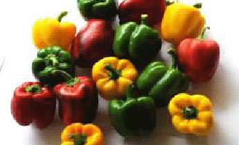 Oval Fresh Capsicum, for Cooking, Certification : FSSAI