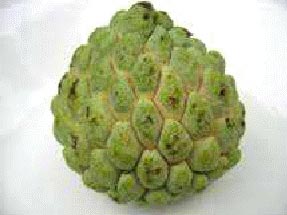 fresh custard apple