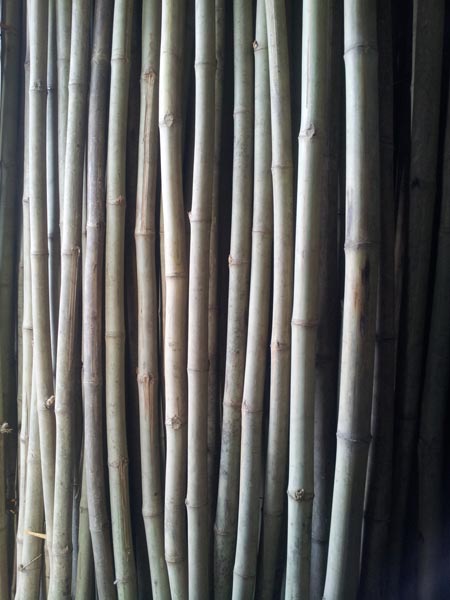 Assam Medium Bamboo