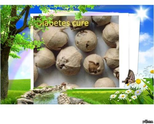 Diabetes Cure Flower