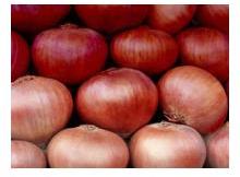 Fresh Red Onion, Packaging Type : Net Bag