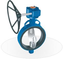 butterfly valve