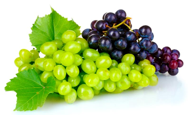 Fresh Grapes at Best Price in Navsari | M/s. Asian Traders