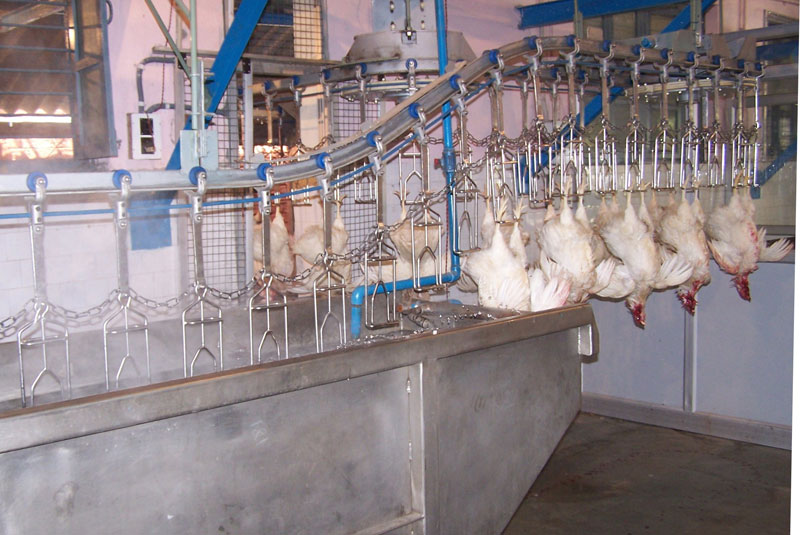 Hot Water Chicken Scalder Manufacturer in Hyderabad Telangana India by