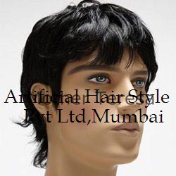 Man Stylish Hair Wig