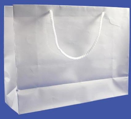 White Paper Bags