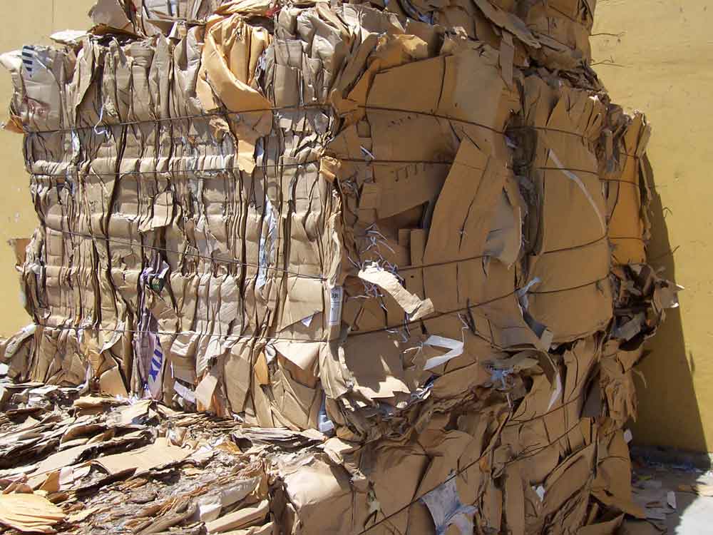 Waste Paper Supplier