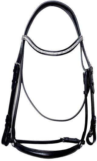 leather bridle