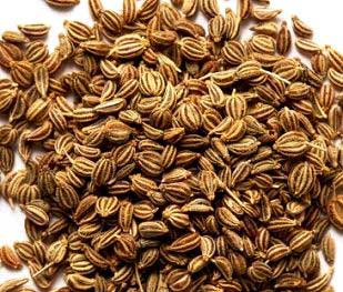 Common Ajwain Oil, for Food Flavoring, Medicine, Feature : Antioxidant, Good For Health, Non Harmful