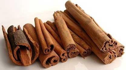 Cinnamon Bark Oil, for Health Problem