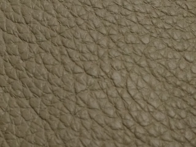 Buff Upholstery Leather, Pattern : Printed
