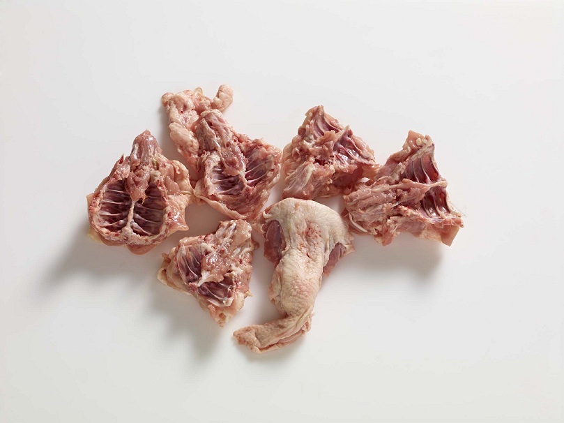 Frozen Chicken Backs