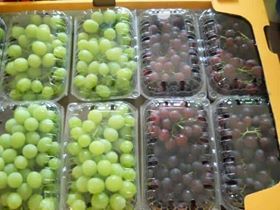 Fresh Seedless Grapes