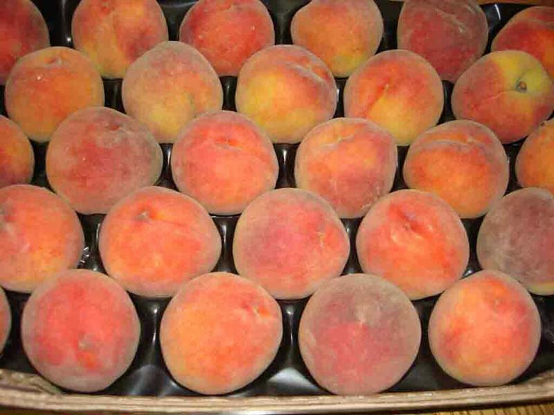 Fresh Peach