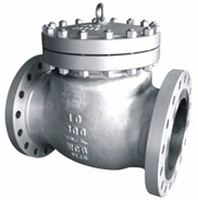 Check Valves