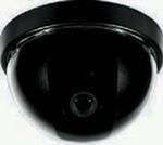 Dome Color Camera