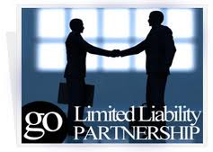 Limited Liability Partnership Consultant