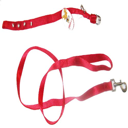 Dog Collar Leash Set Nylon