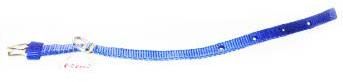 PUPPY COLLAR NYLON