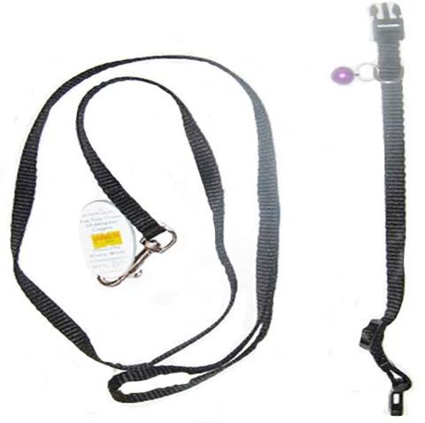 PUPPY COLLAR WITH BELL LEASH SET NYLON