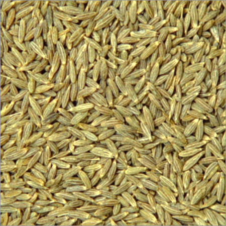 Cumin seeds