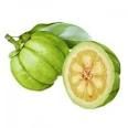 Garcinia Cambogia  Extract