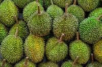 durians