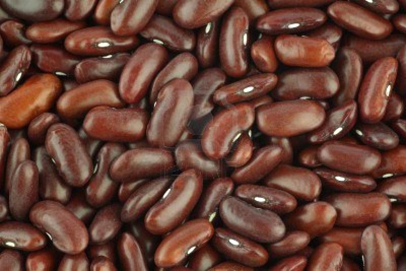 Brown Kidney Beans