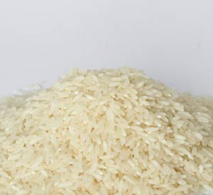 Non Basmati Rice, Sona Masoori Rice, Ponni Rice