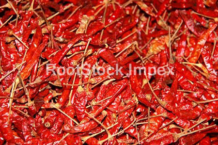 Dry Red Chillies