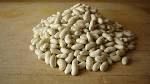 Best Quality White Beans