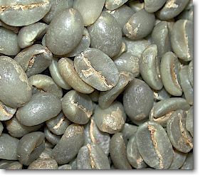 Roasted Coffee Beans