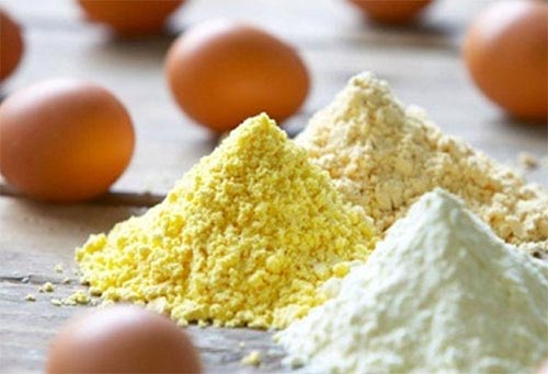 egg powder