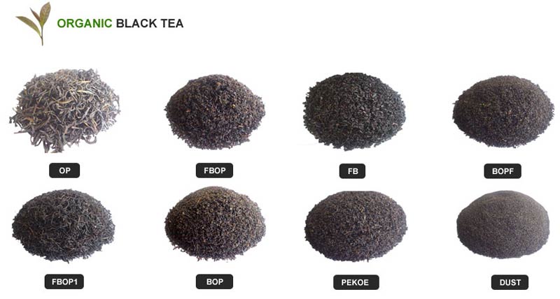 Black Indian Tea