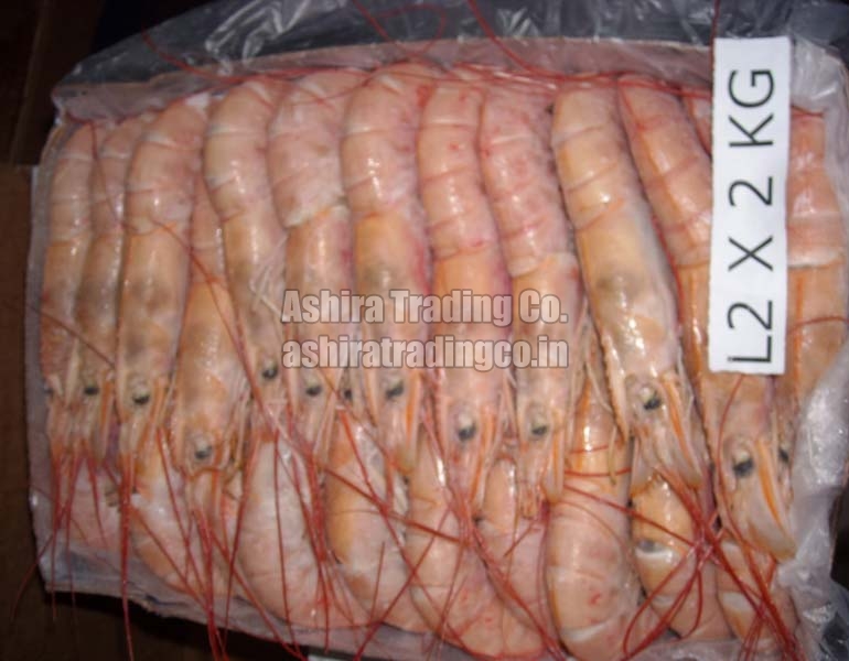 Frozen Argentine Red Shrimp, for Cooking, Packaging Size : 10kg, 1kg, 5kg