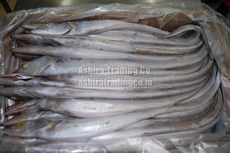 Retailer of Fresh Fish from Chennai, Tamil Nadu by Ashira Trading Co.
