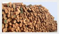 Pine Wood Pellet