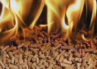 Wood Pellets Din +