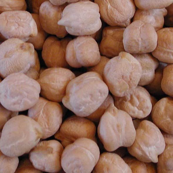 chickpeas