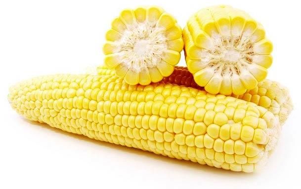 Yellow Maize Seeds