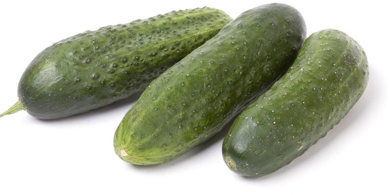 Fvh Cucumber