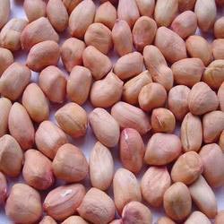 Groundnut Kernels