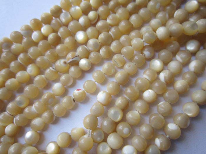 Rich Shell Beads