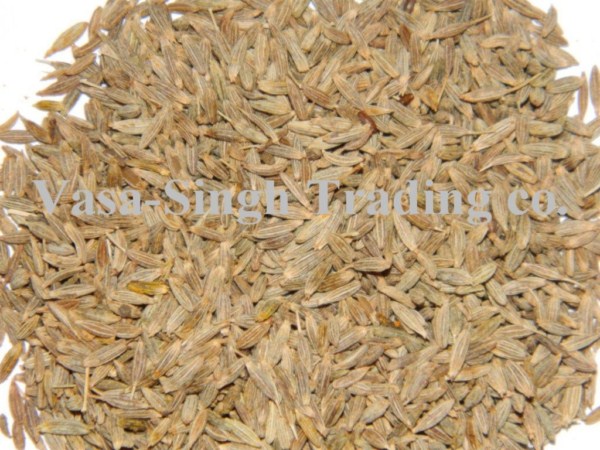 Cumin Seed