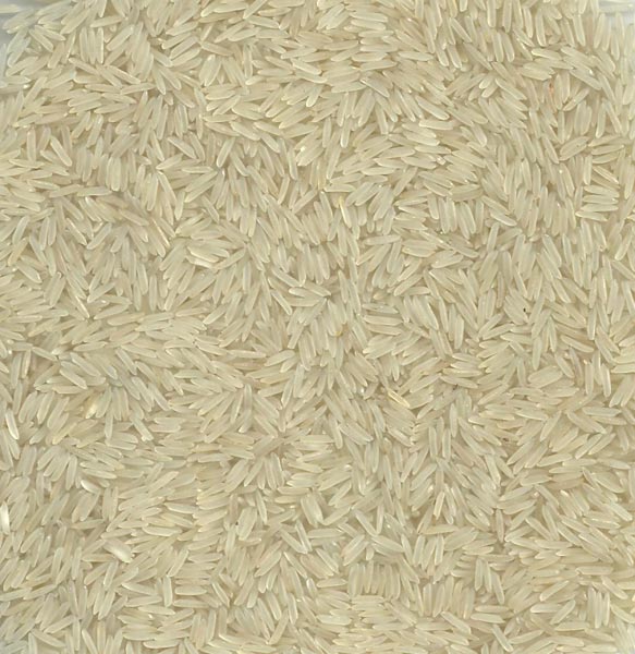 Pure Pussa Basmati Creamy Rice