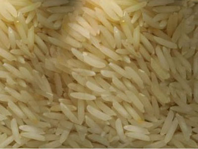 sarbati basmati rice