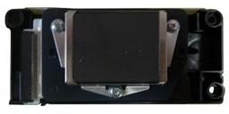 Epson Stylus 7800 Print Head - F160010