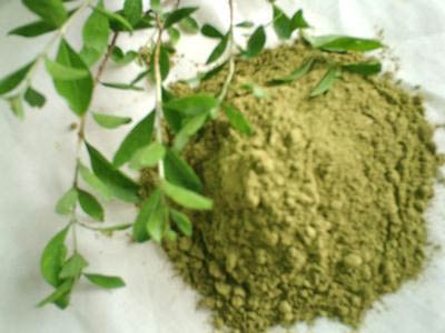 Organic Henna Leaf Powder