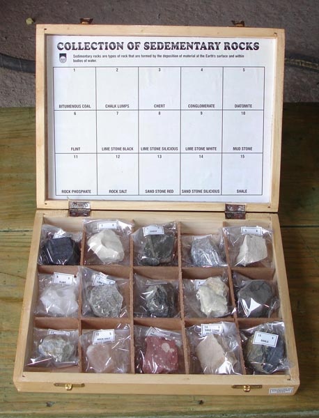 Collection of 15 Sedimentary Rocks, Set of 15 Sedimentary Rocks Collections
