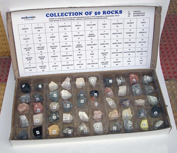 Collection of 50 Rocks Plastic Tray Box